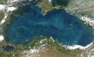 Black Sea Port's